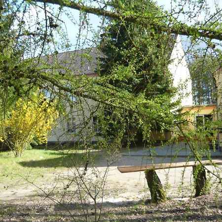 Suedseite Appartement Nossentiner Huette Buitenkant foto