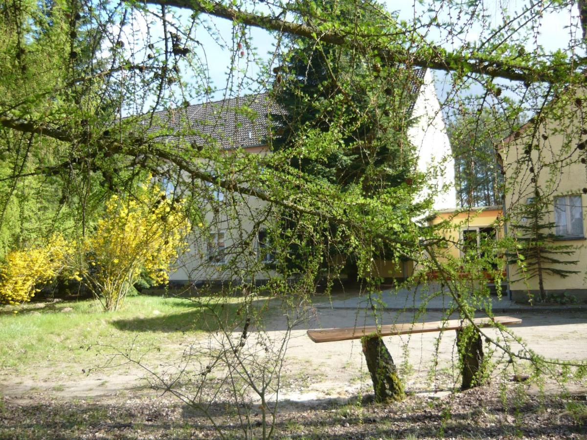 Suedseite Appartement Nossentiner Huette Buitenkant foto